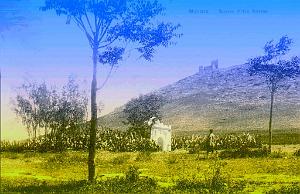 MARNIA 38